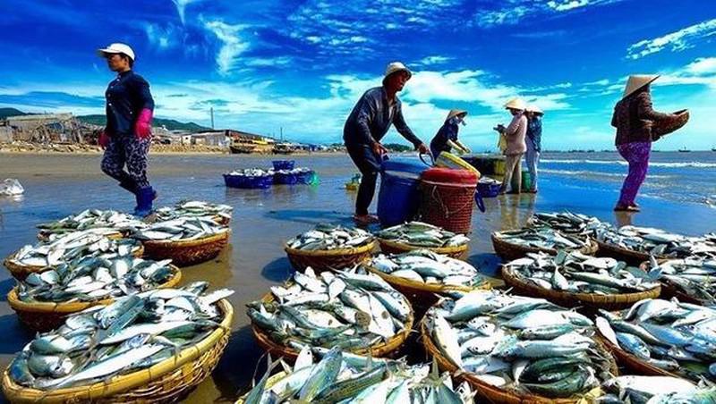 Nghi Dinh 17 2018 Nd Cp Sua Doi Nghi Dinh 67 2014 Nd Cp Ve Chinh Sach Phat Trien Thuy San