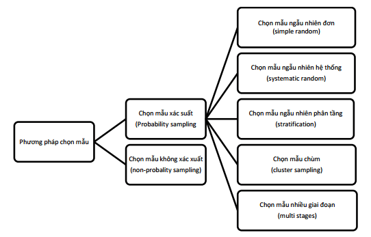 Phương Pháp Chọn Mẫu Trong Nghiên Cứu Xã Hội Học Là Gì