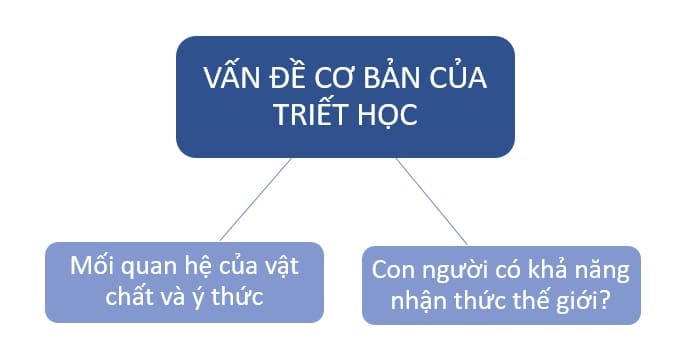 Vấn đề Cơ Bản Của Triết Học Là Gì (cập Nhật 2022)