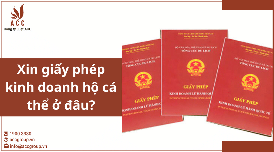 Xin Giấy Phép Kinh Doanh Hộ Cá Thể Ở đâu