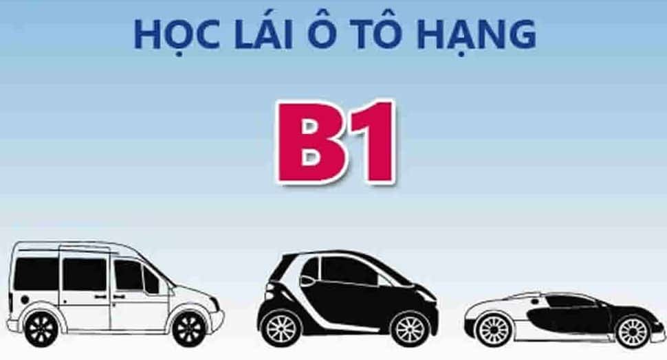 Bằng B1 Lái được Những Loại Xe Gì