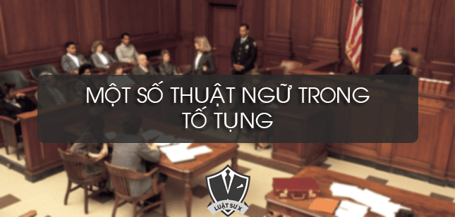 Bị Hại Và Nguyên đơn Dân Sự
