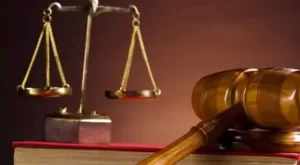 Bộ Luật Hình Sự 2017 Quy định Mấy Loại Hình Phạt