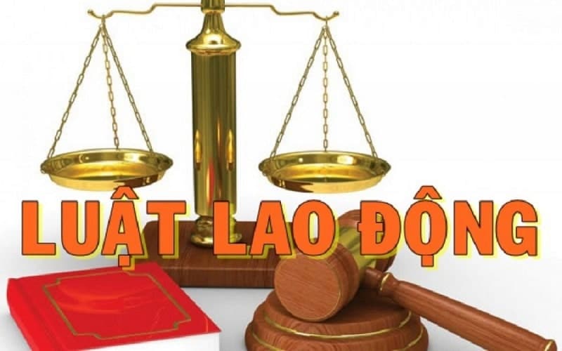 Bộ Luật Lao động Mới Nhất 2019 Tiếng Anh