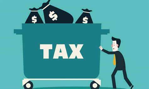 Các Mặt Hàng Chịu Thuế Vat 10%