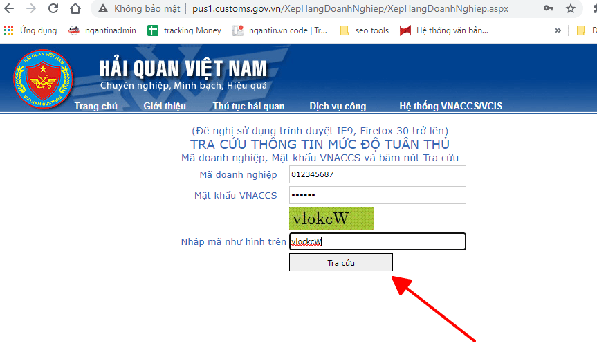 Cách Tra Cứu Tờ Khai Hải Quan điện Tử