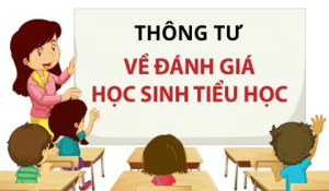 Danh Gia Hoc Sinh Tieu Hoc
