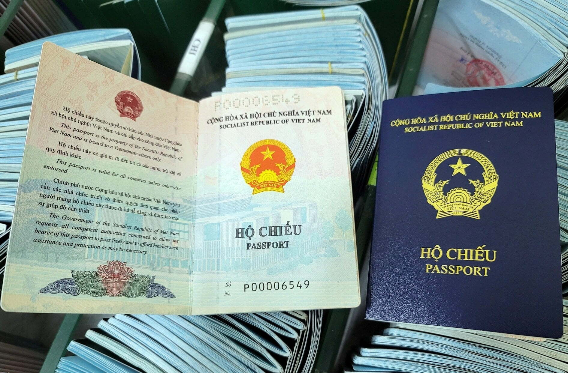 Mẫu đề Nghị Cấp Giấy Thông Hành