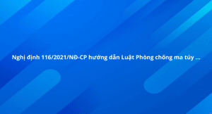 Nghị định 116/2021/NĐ-CP về việc quy định chi tiết một số điều của Luật Phòng, chống ma túy, Luật Xử lý