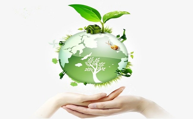 Những Biện Pháp Bảo Vệ Tài Nguyên Thiên Nhiên