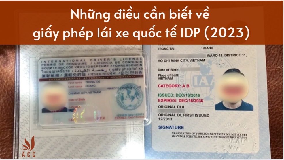 Nhung Dieu Can Biet Ve Gplx Idp