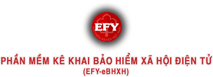 Phần Mềm Kê Khai Bảo Hiểm Xã Hội Efy