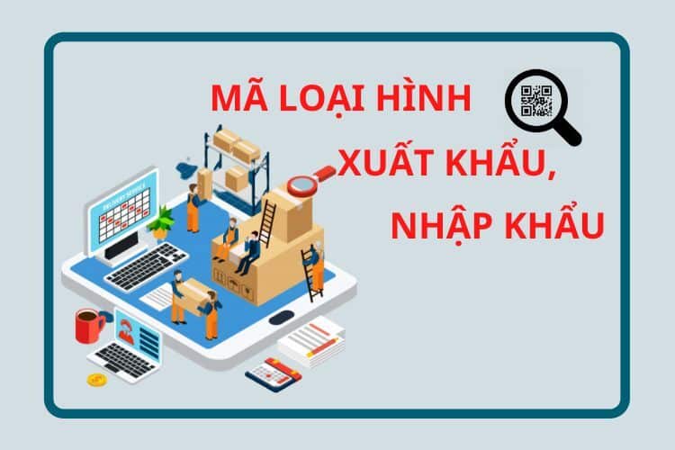 Tờ Khai Hải Quan Loại Hình C11