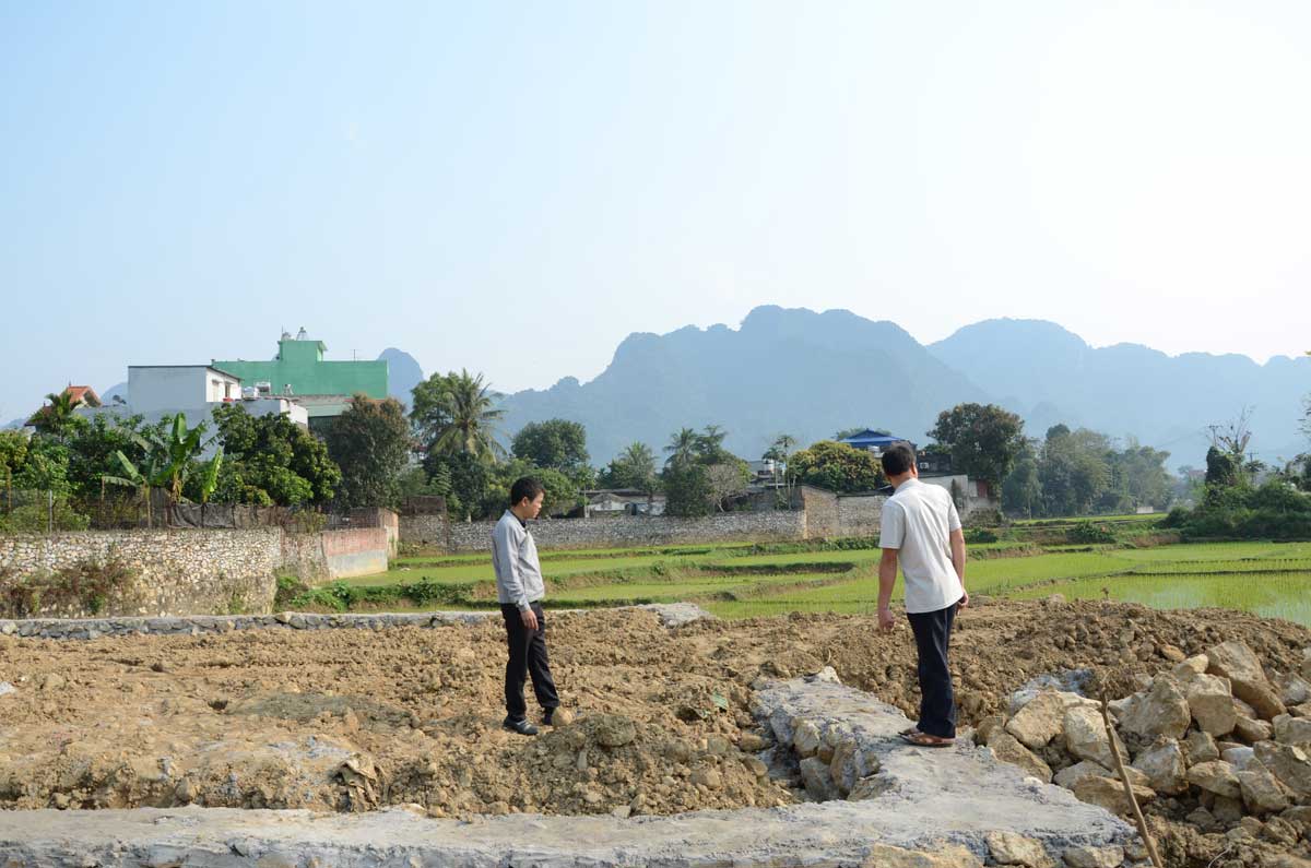 147409 Dsc 6611