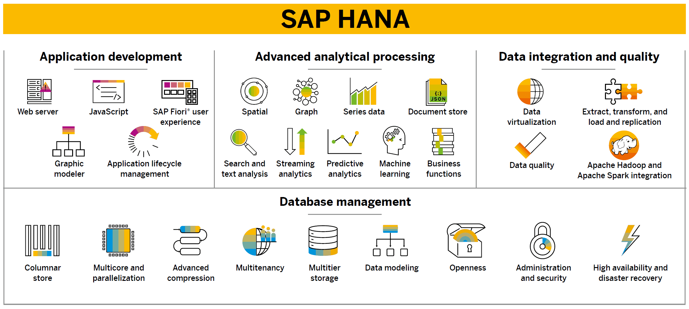 Hana Graphic 2020