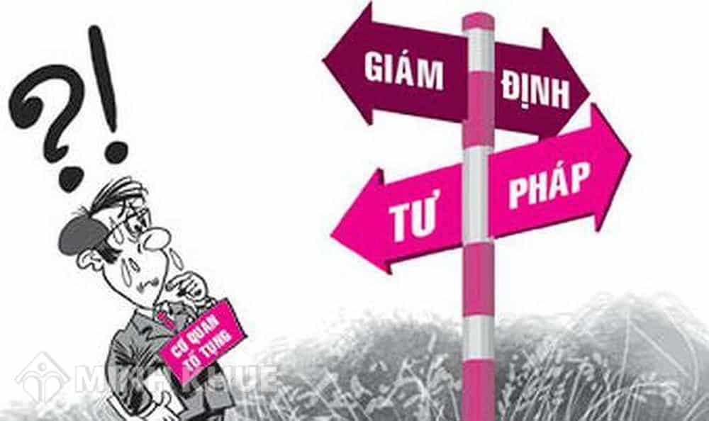 Mẫu Quyết Định Trưng Cầu Giám Định Theo Thủ Tục Hành Chính