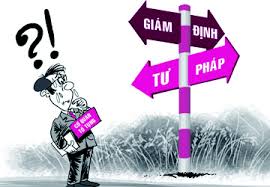 Phân Biệt Giám Định Bổ Sung Và Giám Định Lại