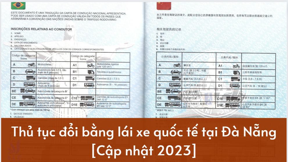 Thủ tục đổi bằng lái xe quốc tế tại Đà Nẵng [Cập nhật 2023]