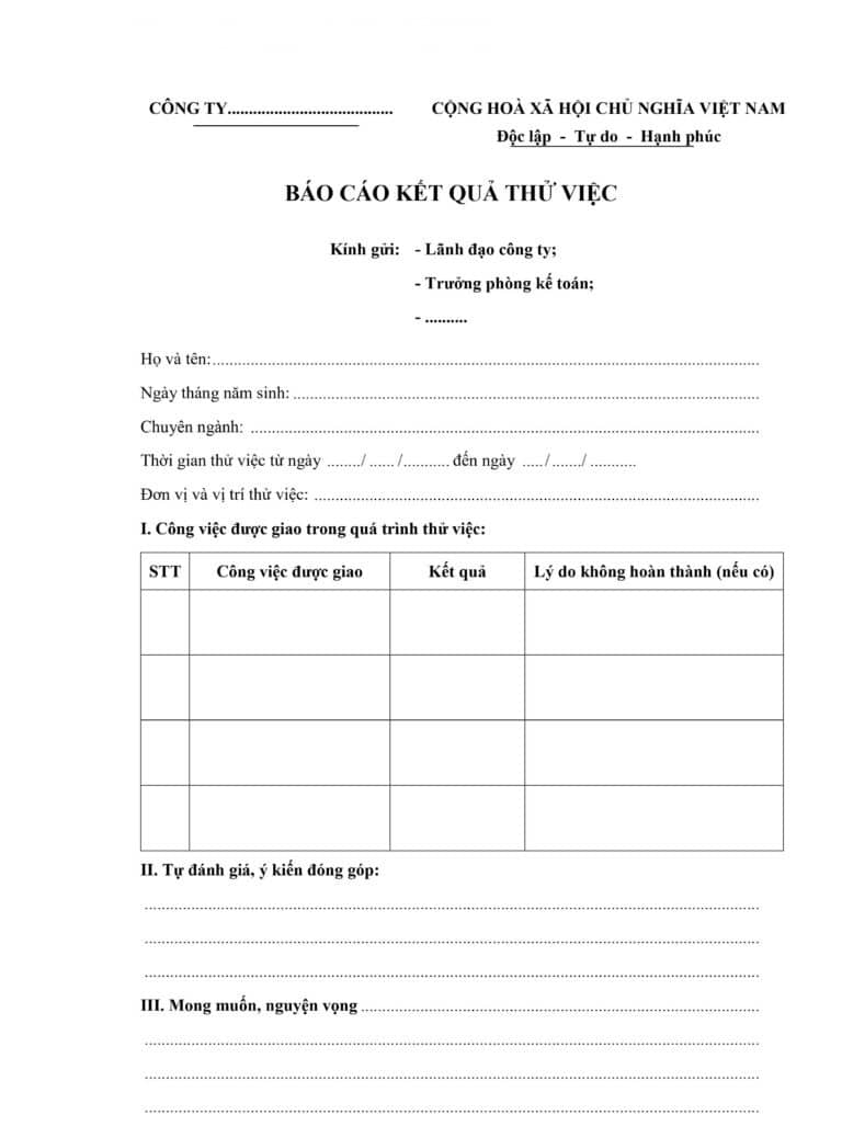 Báo Cáo Thử Việc Nv Kế Toán