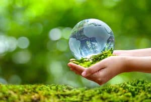 Mẫu tờ khai thuế bảo vệ môi trường [Cập nhật năm 2022]