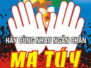 Mẫu cam kết phòng chống ma túy [Mới nhất 2022]