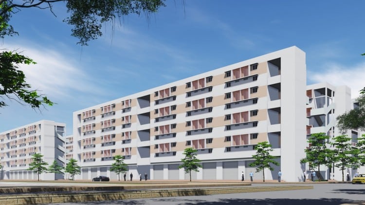 điều 49 Luật Nhà ở 2014