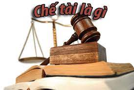 Hình Phạt Có Phải Một Loại Chế Tài Không 1