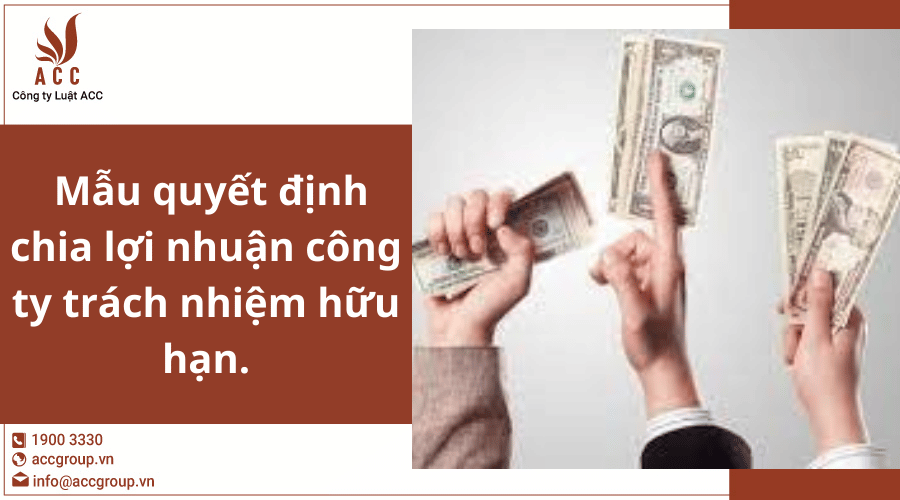 Mau Quyet Dinh Chia Loi Nhuan Cong Ty Trach Nhiem Huu Han