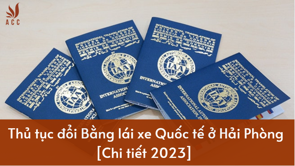 Thủ tục đổi Bằng lái xe Quốc tế ở Hải Phòng [Chi tiết 2023]
