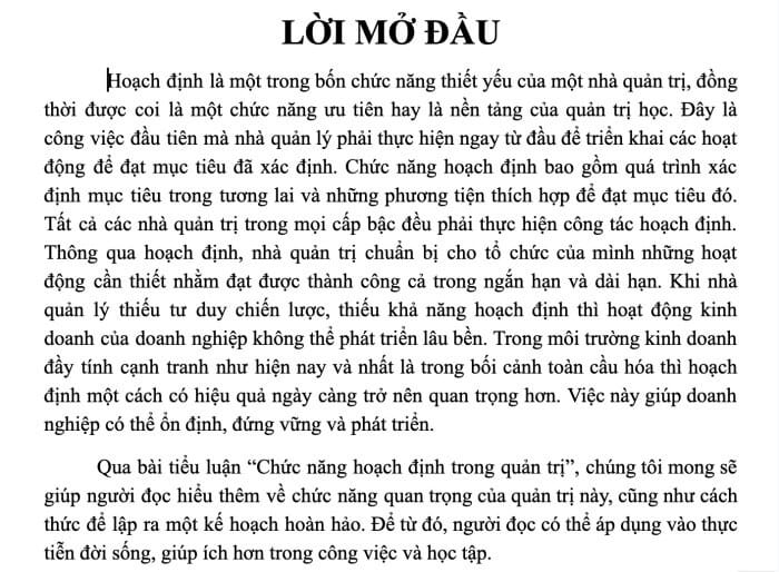 Tieu Luan Chuc Nang Hoach Dinh Trong Quan Tri