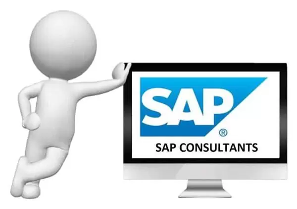 Vai Tro Sap Consultant Trong Doanh Nghiep