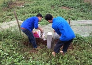 Mẫu bản cam kết ranh giới đất [Cập nhật 2023]