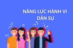 Pháp Nhân Có Năng Lực Hành Vi Dân Sự Không