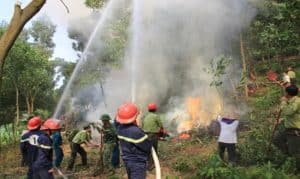 Mẫu bản cam kết phòng cháy chữa cháy rừng