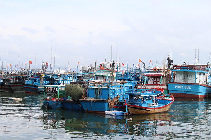 Xuất Nhập Cảnh