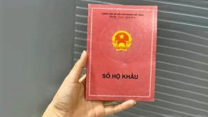 Bi Xoa Ho Khau Co Nhap Khau Lai Duoc Khong 2012170313