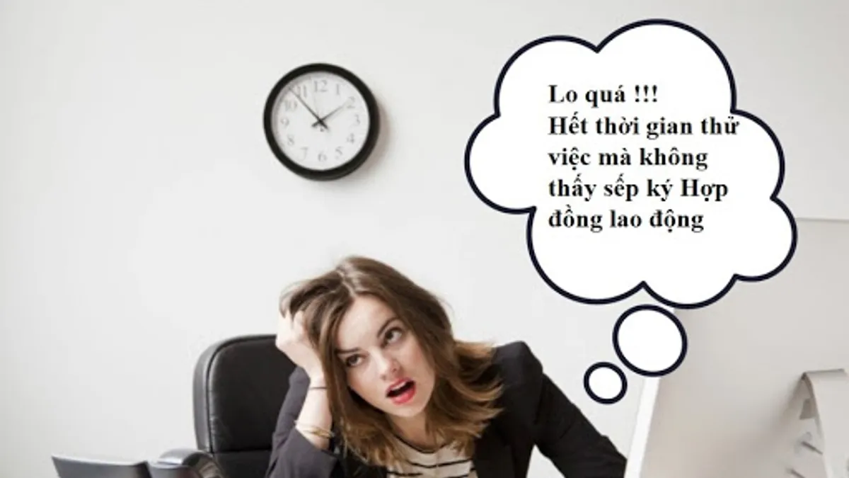 Cong Ty Khong Ky Hop Dong Khi Het Thoi Gian Thu Viec Can Lam Gi 2403162813