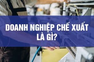 Doanh Nghiệp Chế Xuất Là Gì