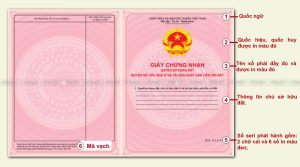 Giay Chung Nhan Quyen sở hữu chung cư