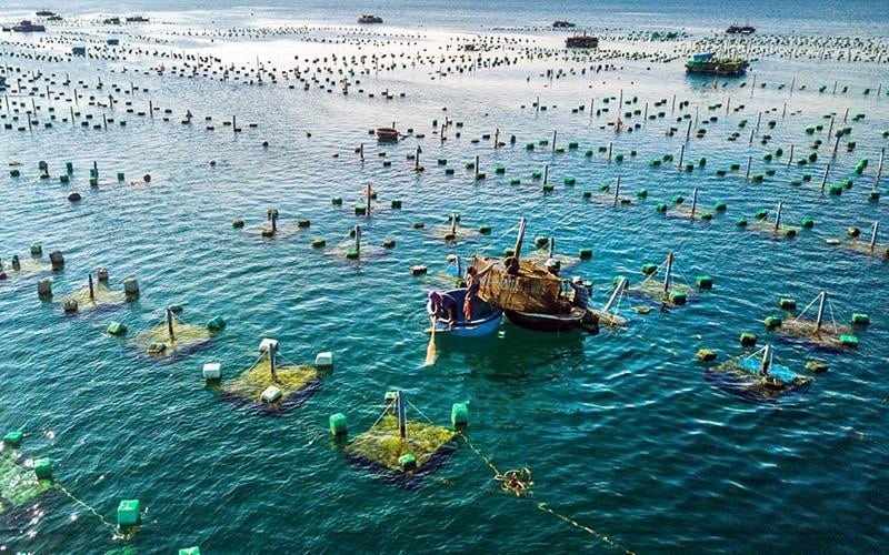 Luật Nuôi Trồng Thủy Hải Sản