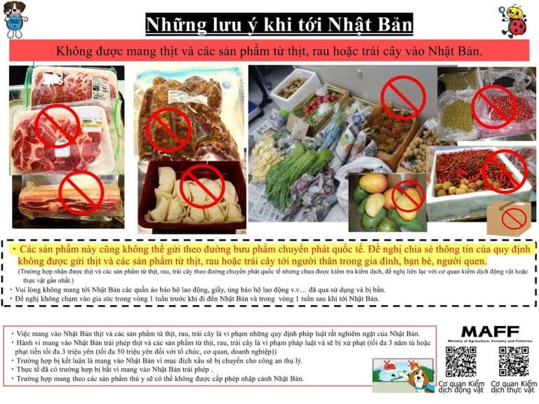 Luu Y Nhap Canh 768x576