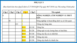 Nghị định Về Mã Ngành Nghề Kinh Doanh