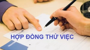 Thu Viec 0907090005 0303101047