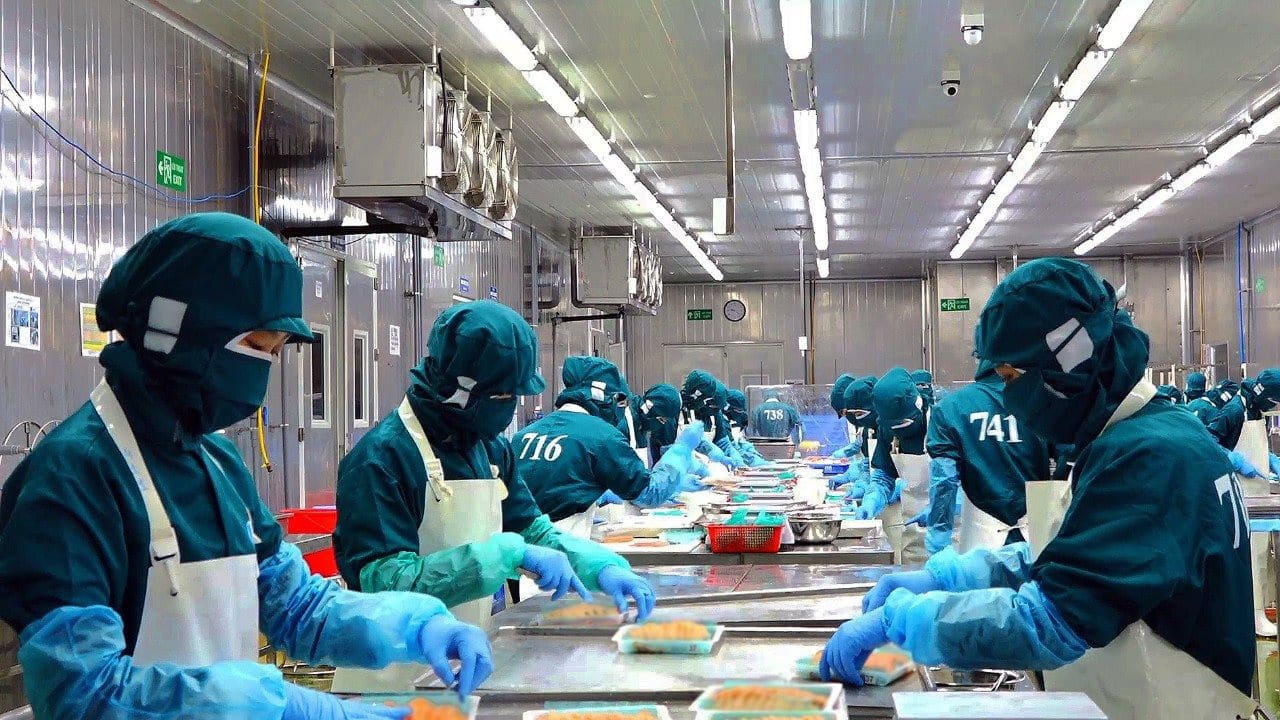 Z3227495218987 D784c1c6c5521c70b3bbcbe314bc2bdf