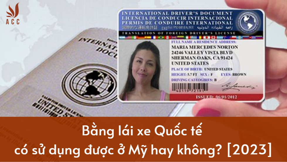 Bằng lái xe Quốc tế có sử dụng được ở Mỹ hay không? [2023]