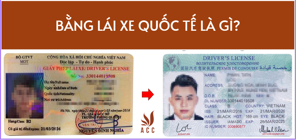 Bằng lái xe Quốc tế là gì?