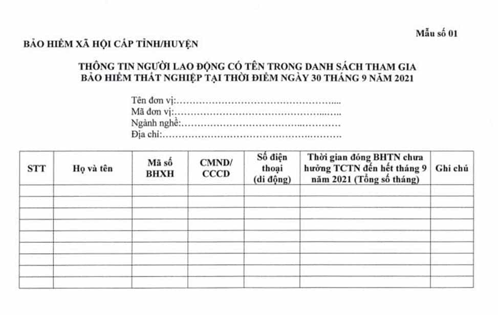 Mẫu 01 Nghị Quyết 116nq Cp
