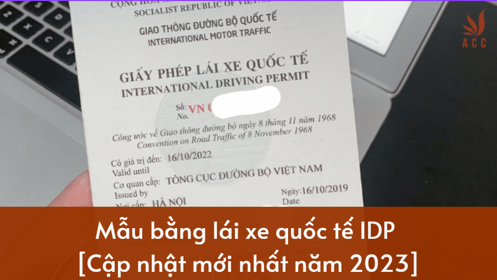 Mẫu bằng lái xe quốc tế IDP [Cập nhật mới nhất năm 2023]