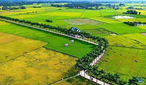 Thời Hạn Thuê Đất 70 Năm Là Gì [mới Nhất 2023]