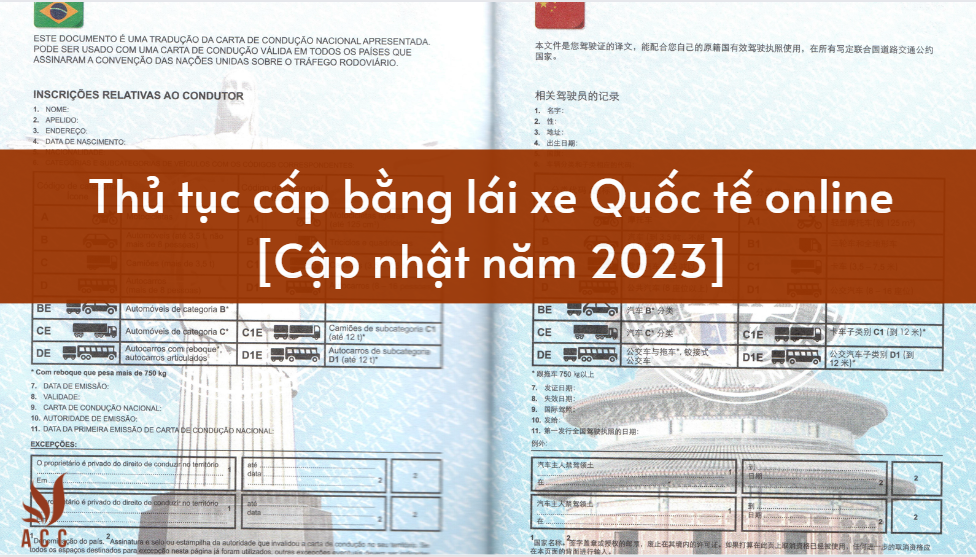 Thủ tục cấp bằng lái xe Quốc tế online [Cập nhật năm 2023]